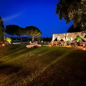 Valle D'oro Bed & Breakfast Ansedónia